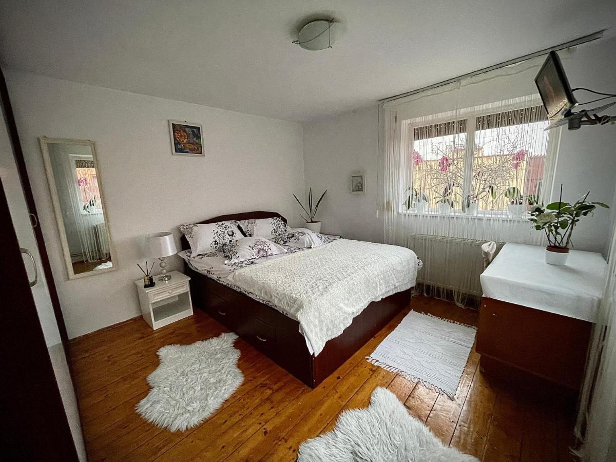 Ada-Ini House Villa Craiova Kültér fotó